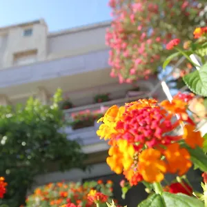 Apartment Pejic, Pula